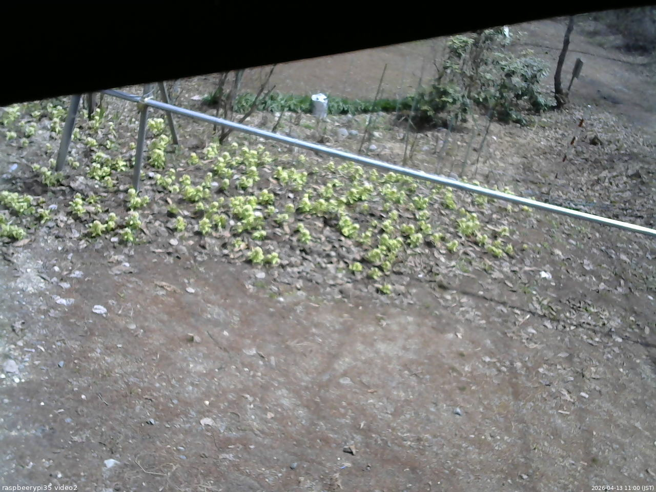 長野県菅平高原 ゆたか山荘 駐車場 2026/04/13 11:00