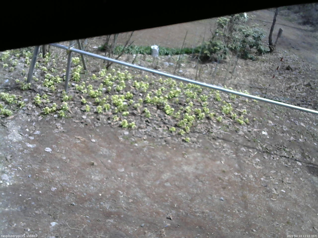 長野県菅平高原 ゆたか山荘 駐車場 2026/04/13 11:15