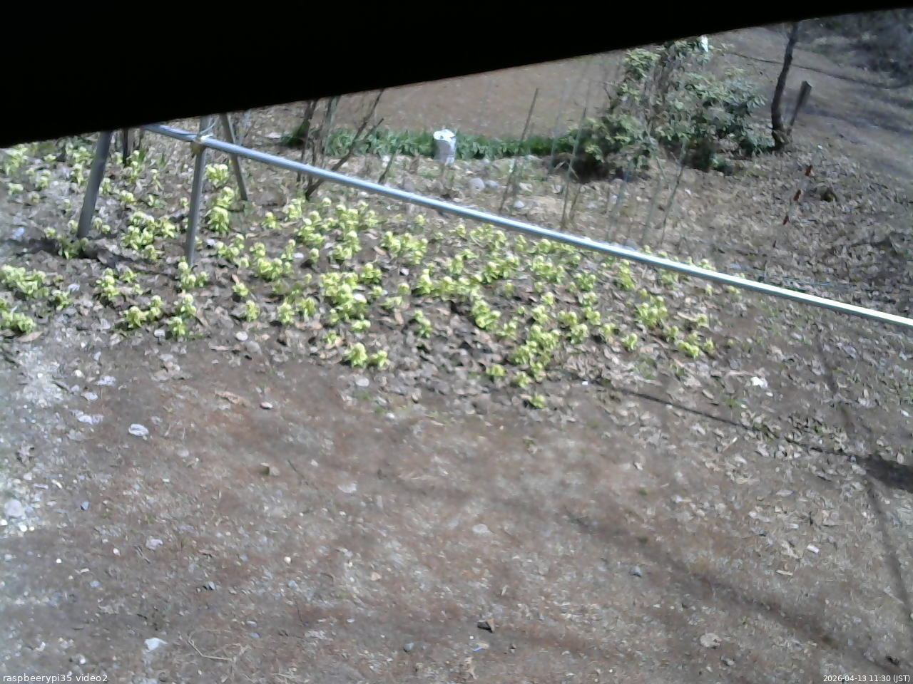 長野県菅平高原 ゆたか山荘 駐車場 2026/04/13 11:30