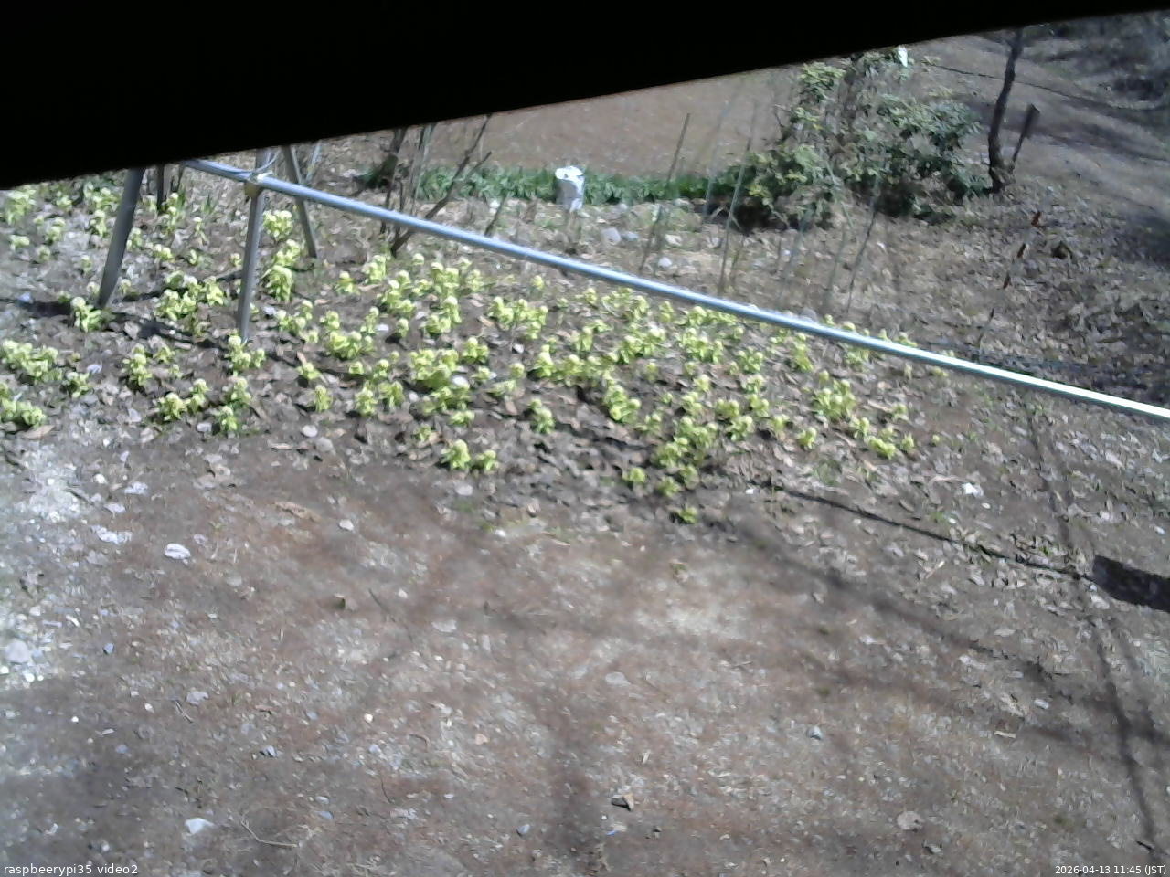 長野県菅平高原 ゆたか山荘 駐車場 2026/04/13 11:45