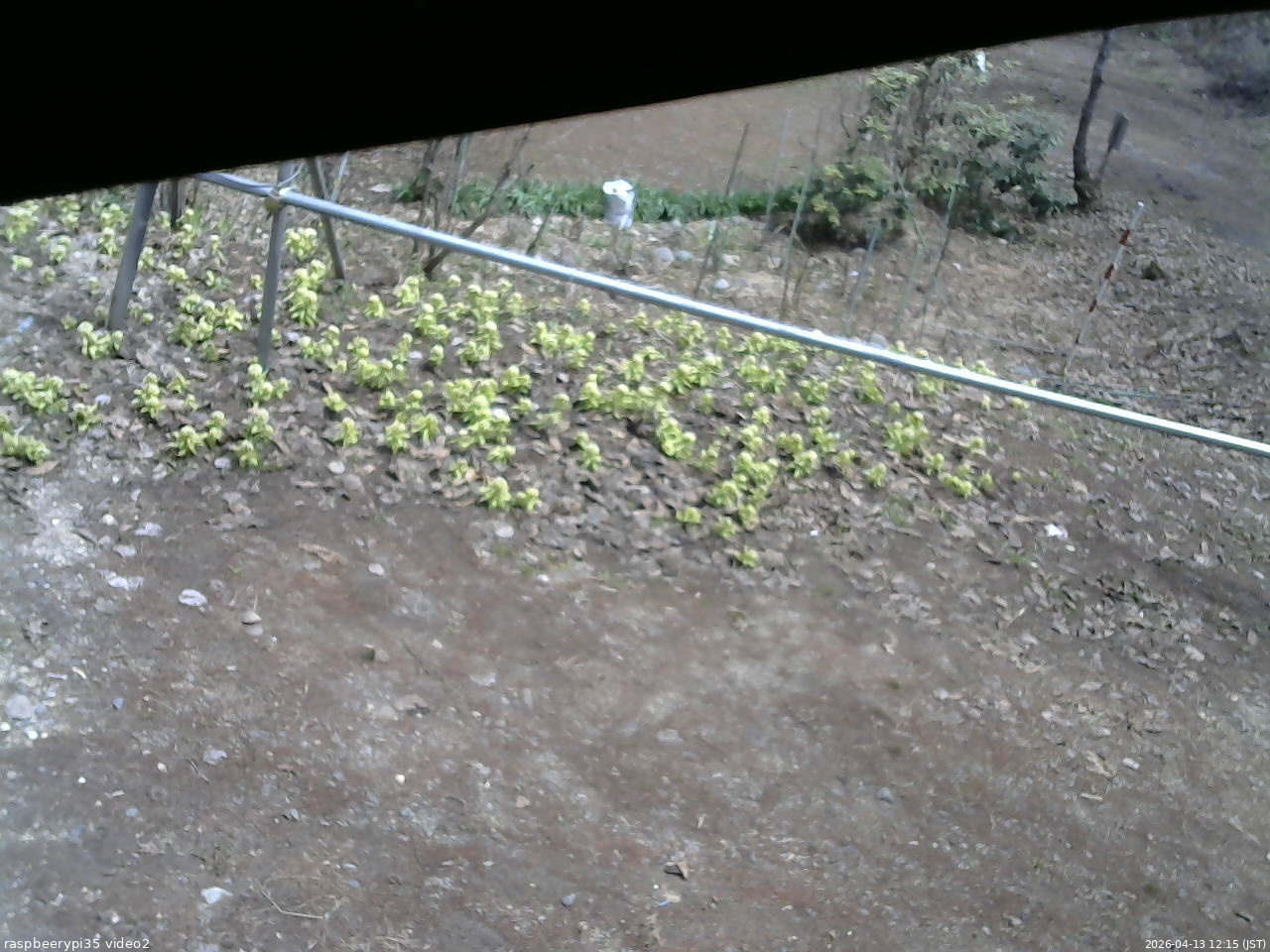 長野県菅平高原 ゆたか山荘 駐車場 2026/04/13 12:15