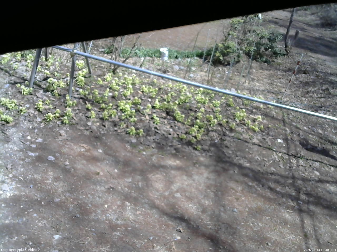 長野県菅平高原 ゆたか山荘 駐車場 2026/04/13 12:30