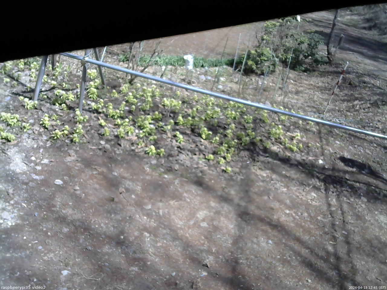 長野県菅平高原 ゆたか山荘 駐車場 2026/04/13 12:45