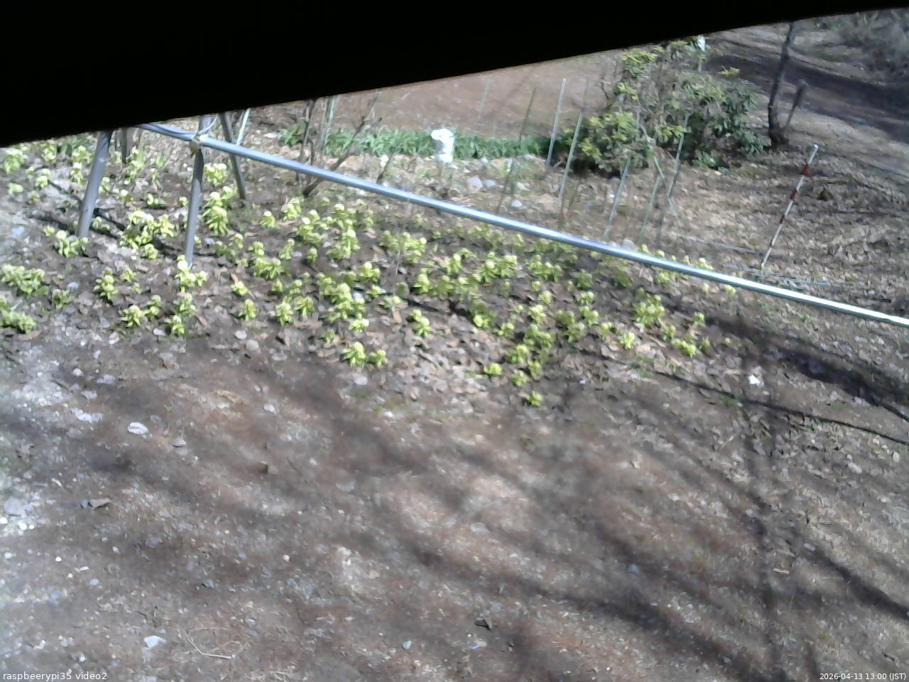 長野県菅平高原 ゆたか山荘 駐車場 2026/04/13 13:00