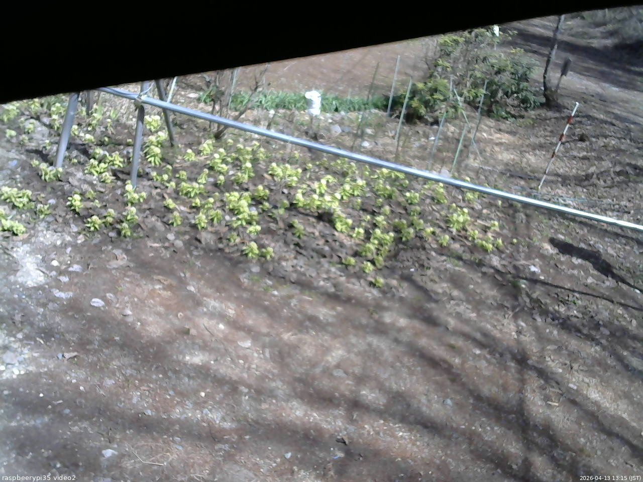 長野県菅平高原 ゆたか山荘 駐車場 2026/04/13 13:15