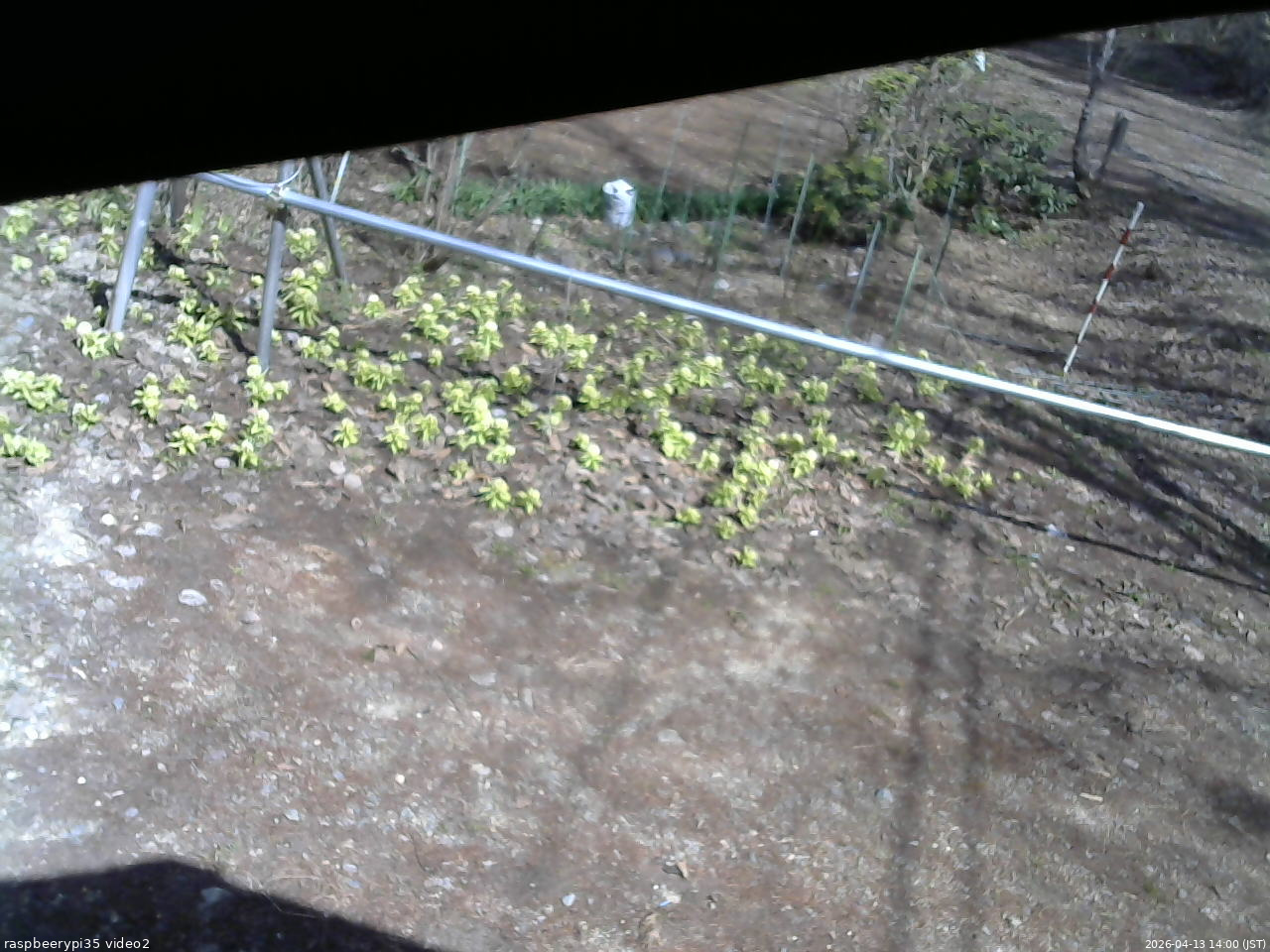 長野県菅平高原 ゆたか山荘 駐車場 2026/04/13 14:00