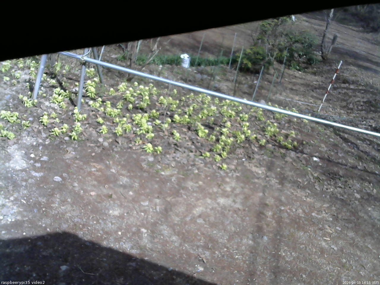 長野県菅平高原 ゆたか山荘 駐車場 2026/04/13 14:15