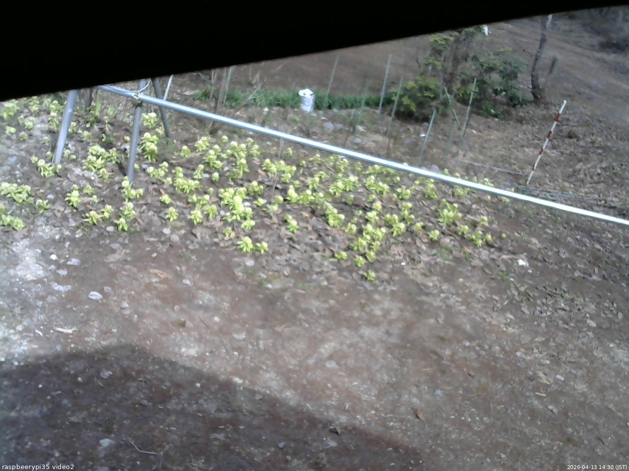 長野県菅平高原 ゆたか山荘 駐車場 2026/04/13 14:30