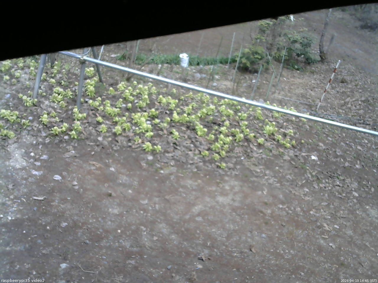 長野県菅平高原 ゆたか山荘 駐車場 2026/04/13 14:45