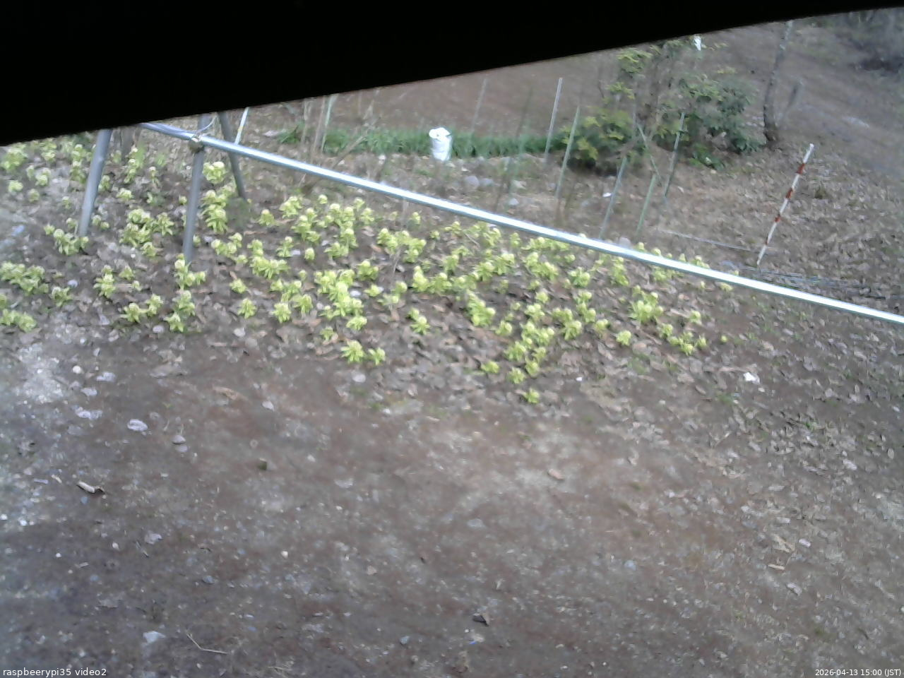 長野県菅平高原 ゆたか山荘 駐車場 2026/04/13 15:00