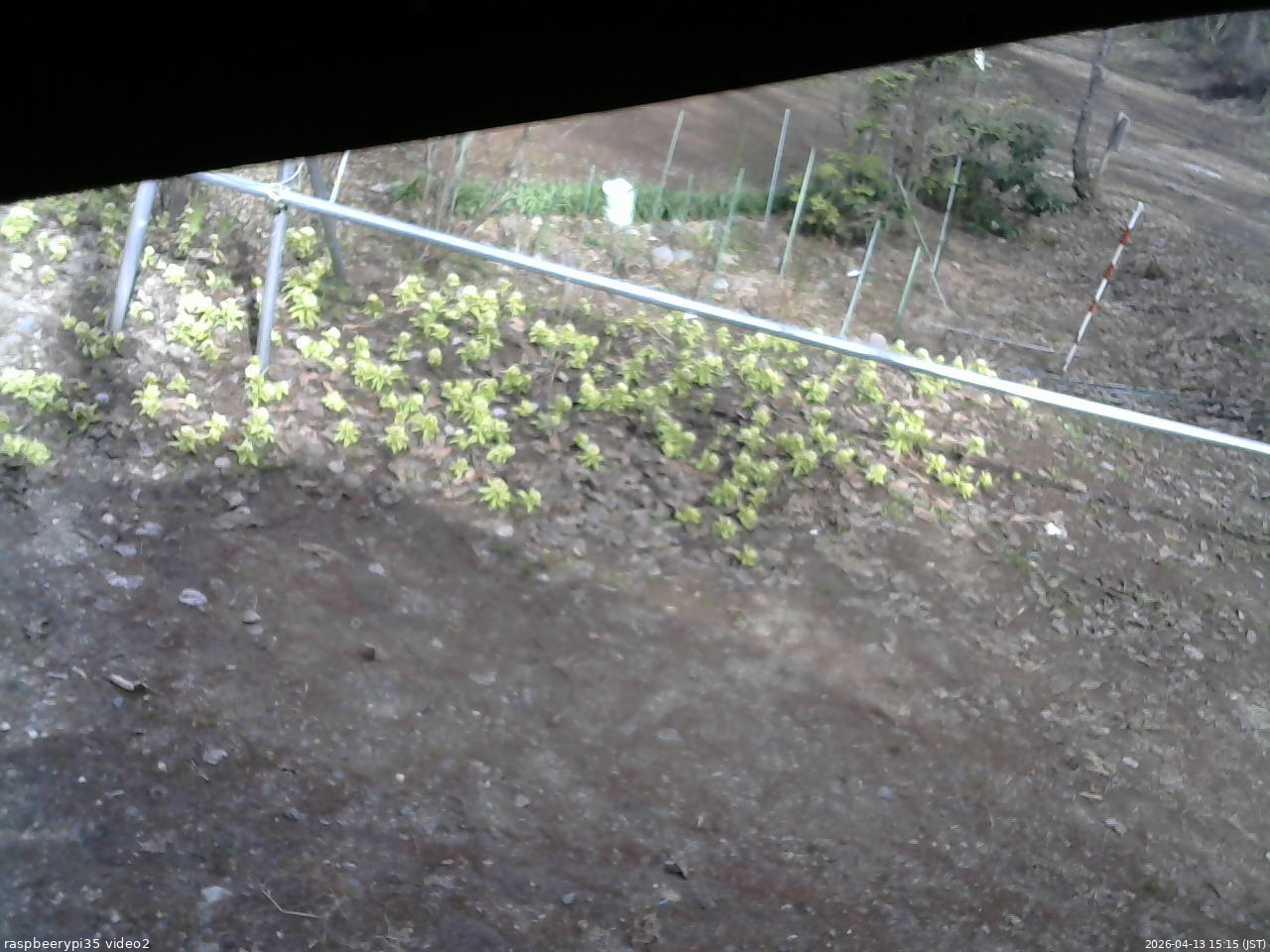 長野県菅平高原 ゆたか山荘 駐車場 2026/04/13 15:15