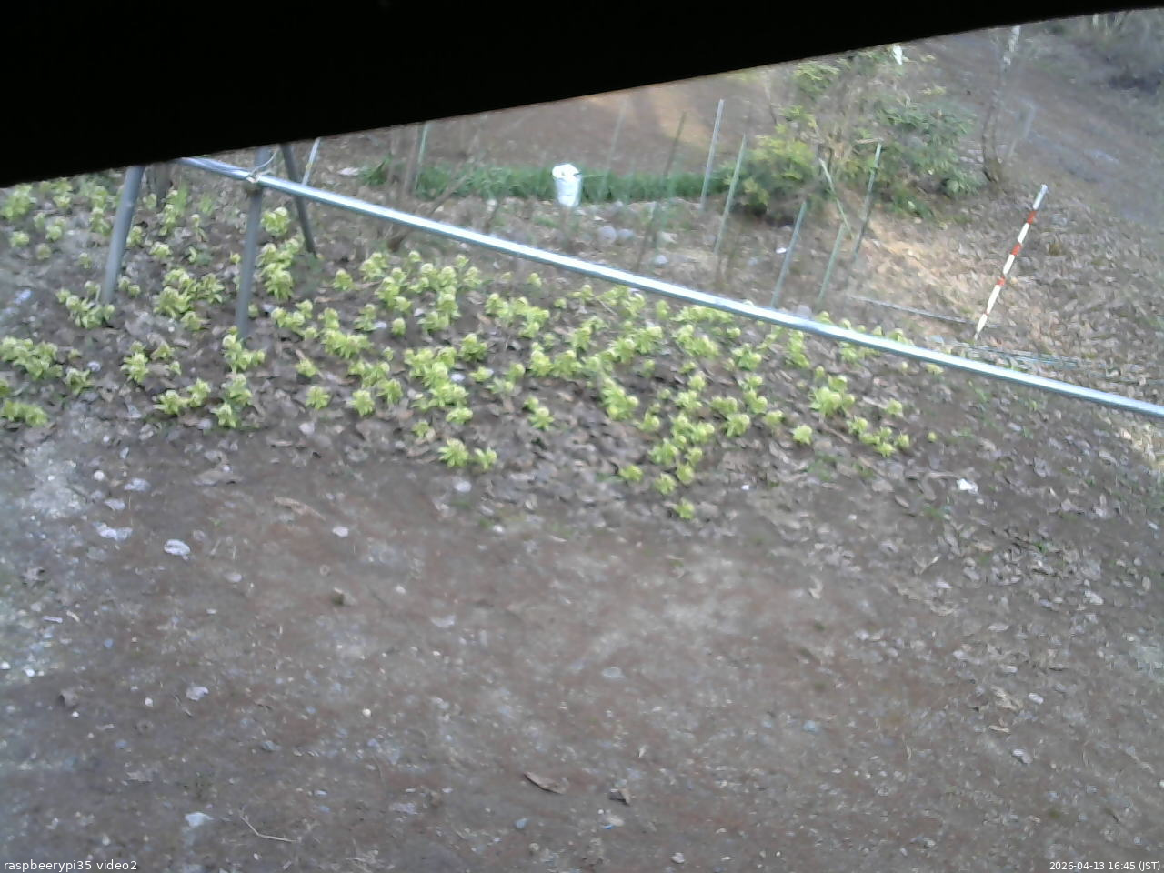 長野県菅平高原 ゆたか山荘 駐車場 2026/04/13 16:45