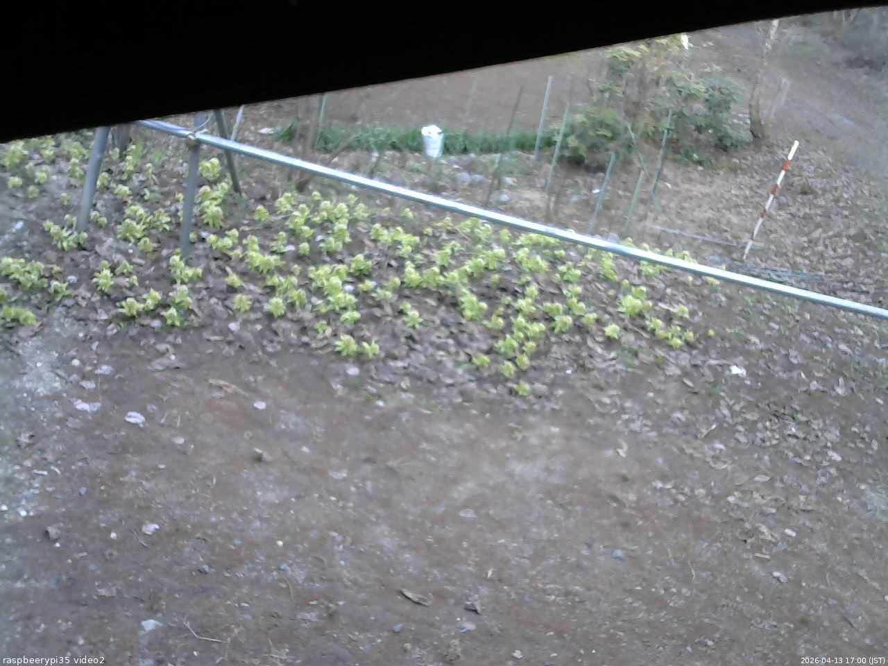 長野県菅平高原 ゆたか山荘 駐車場 2026/04/13 17:00