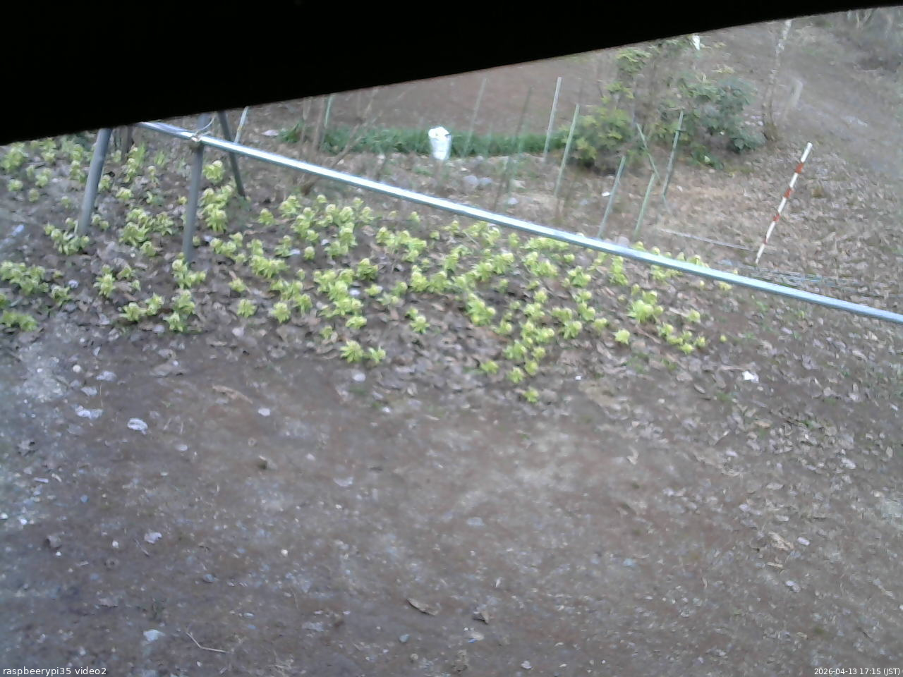 長野県菅平高原 ゆたか山荘 駐車場 2026/04/13 17:15