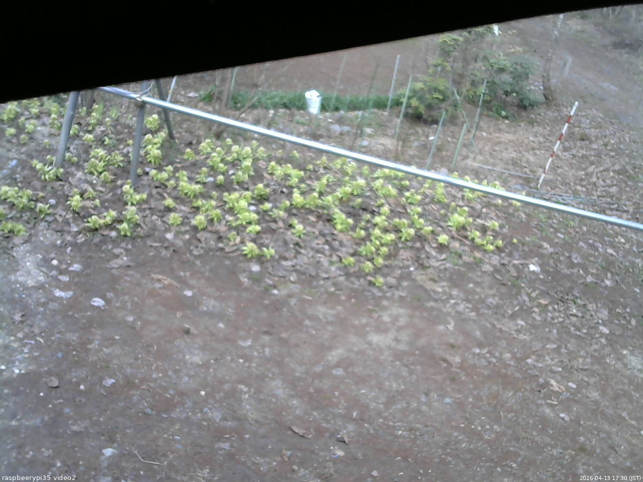 長野県菅平高原 ゆたか山荘 駐車場 2026/04/13 17:30