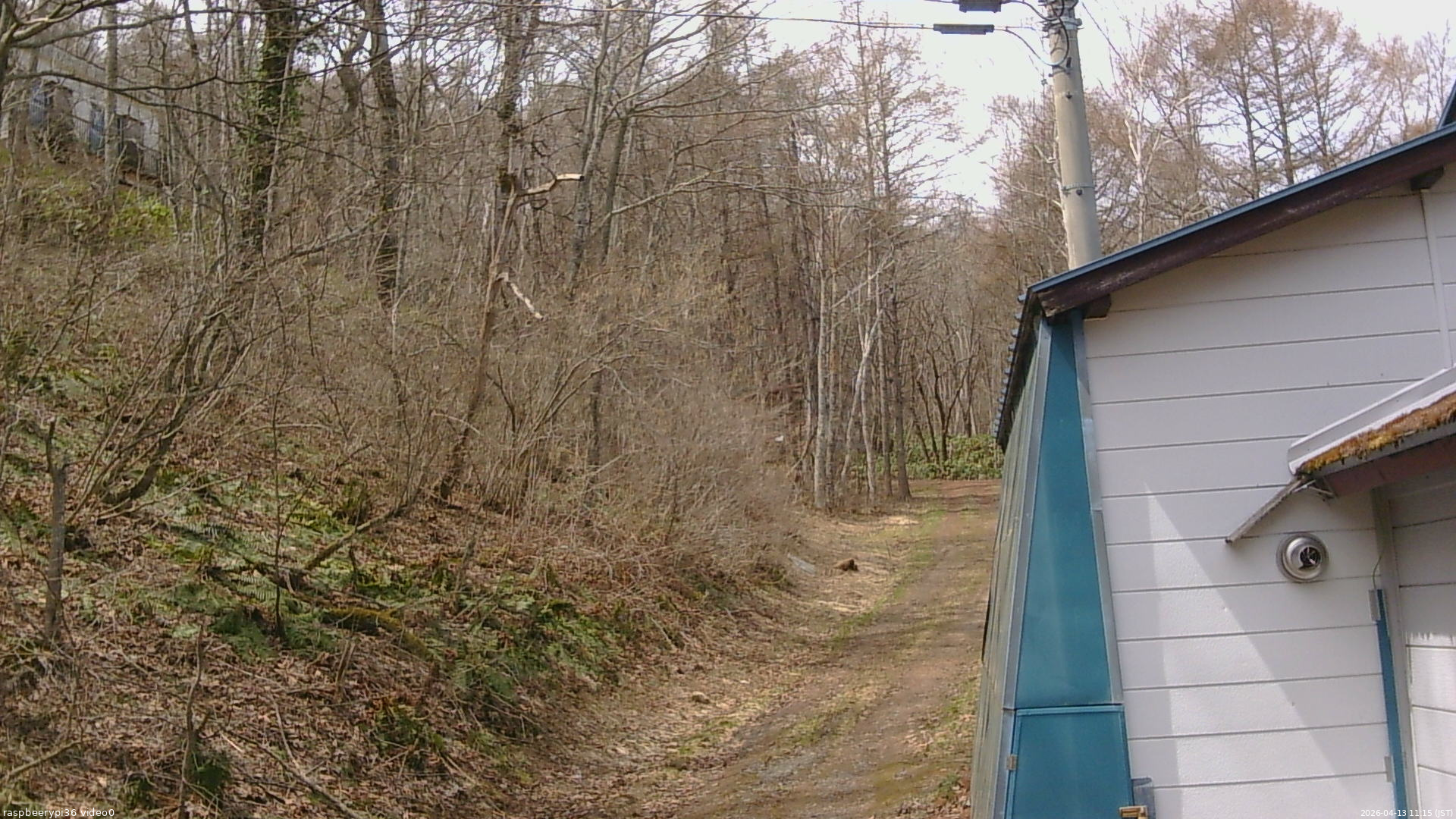 長野県菅平高原 ゆたか山荘 ゆたか山荘 2026/04/13 11:15