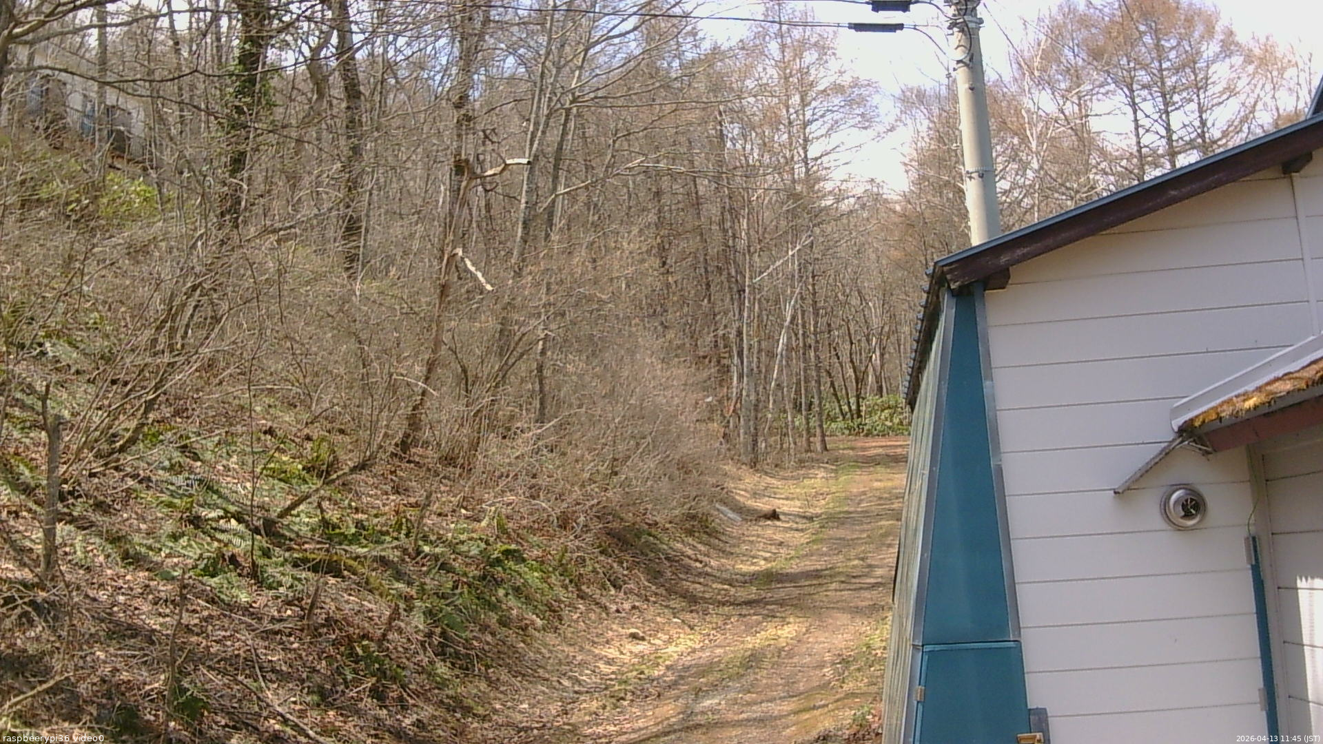 長野県菅平高原 ゆたか山荘 ゆたか山荘 2026/04/13 11:45