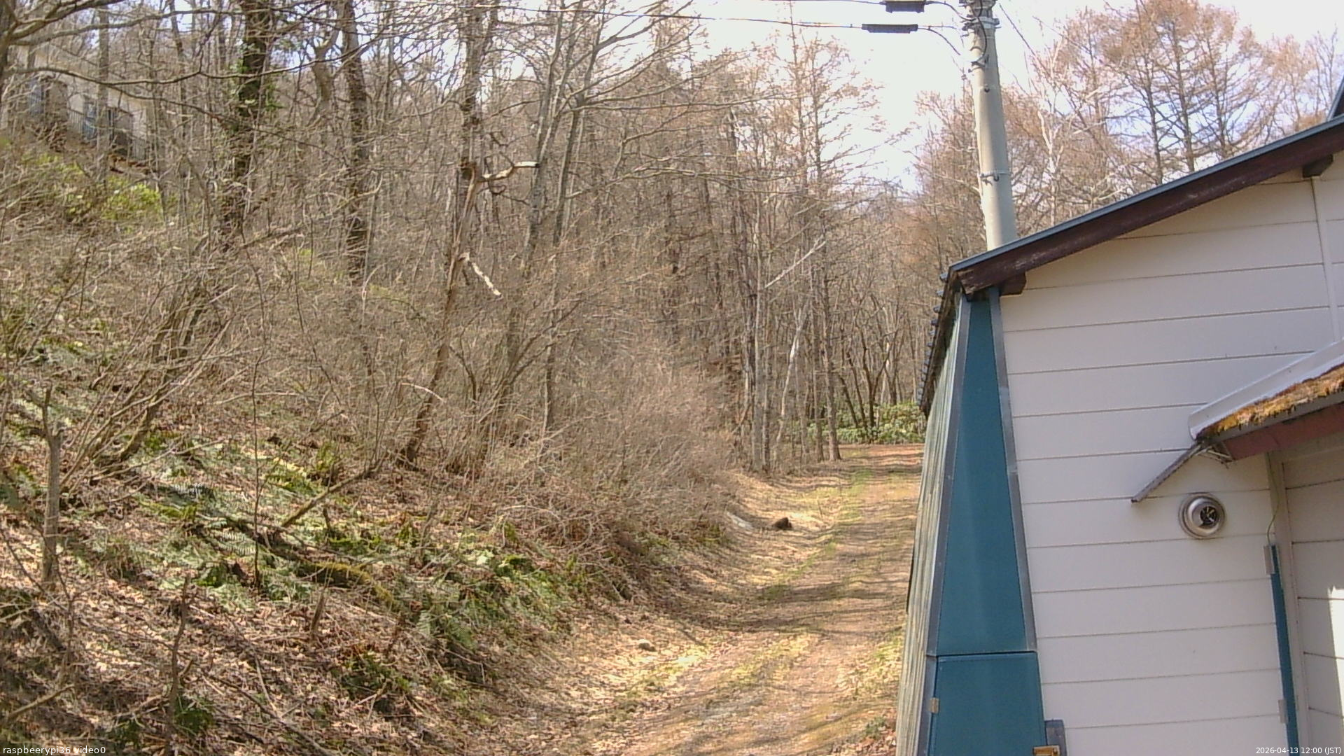 長野県菅平高原 ゆたか山荘 ゆたか山荘 2026/04/13 12:00