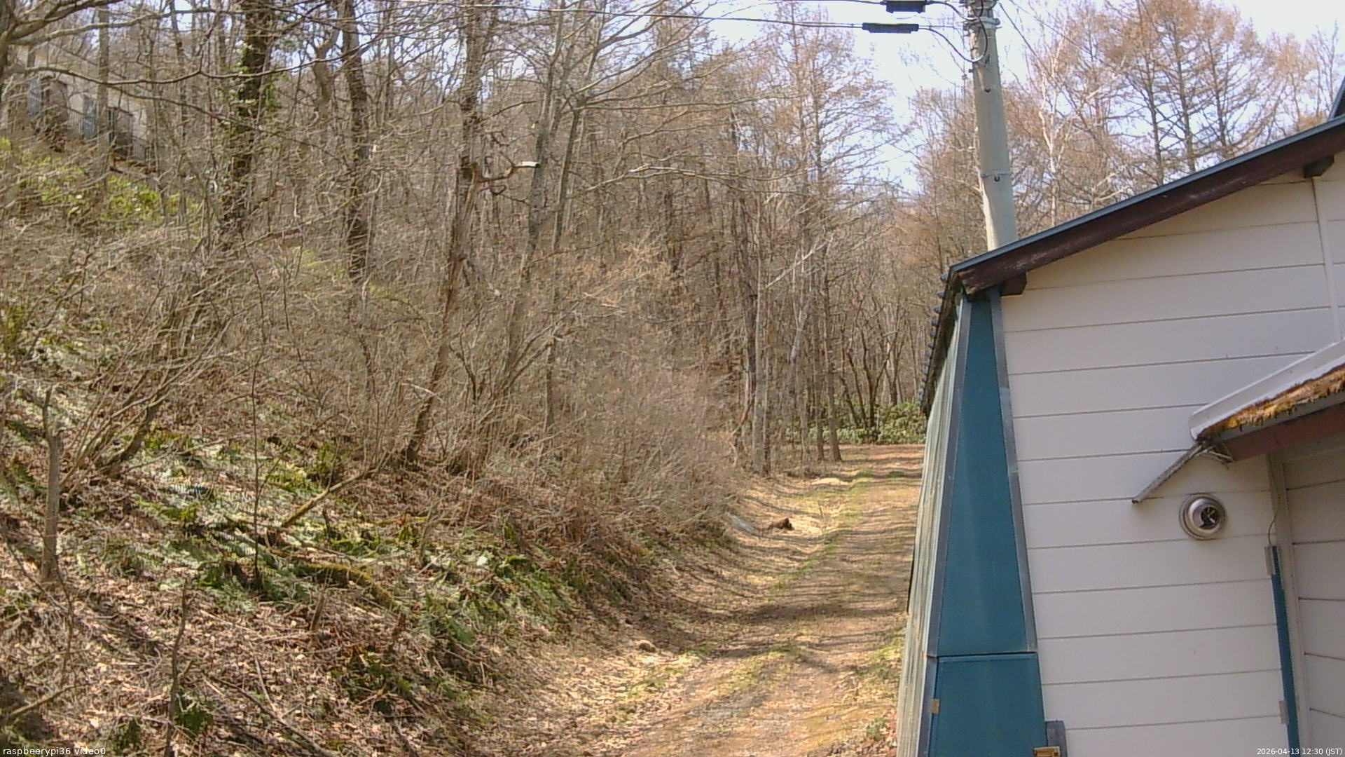 長野県菅平高原 ゆたか山荘 ゆたか山荘 2026/04/13 12:30