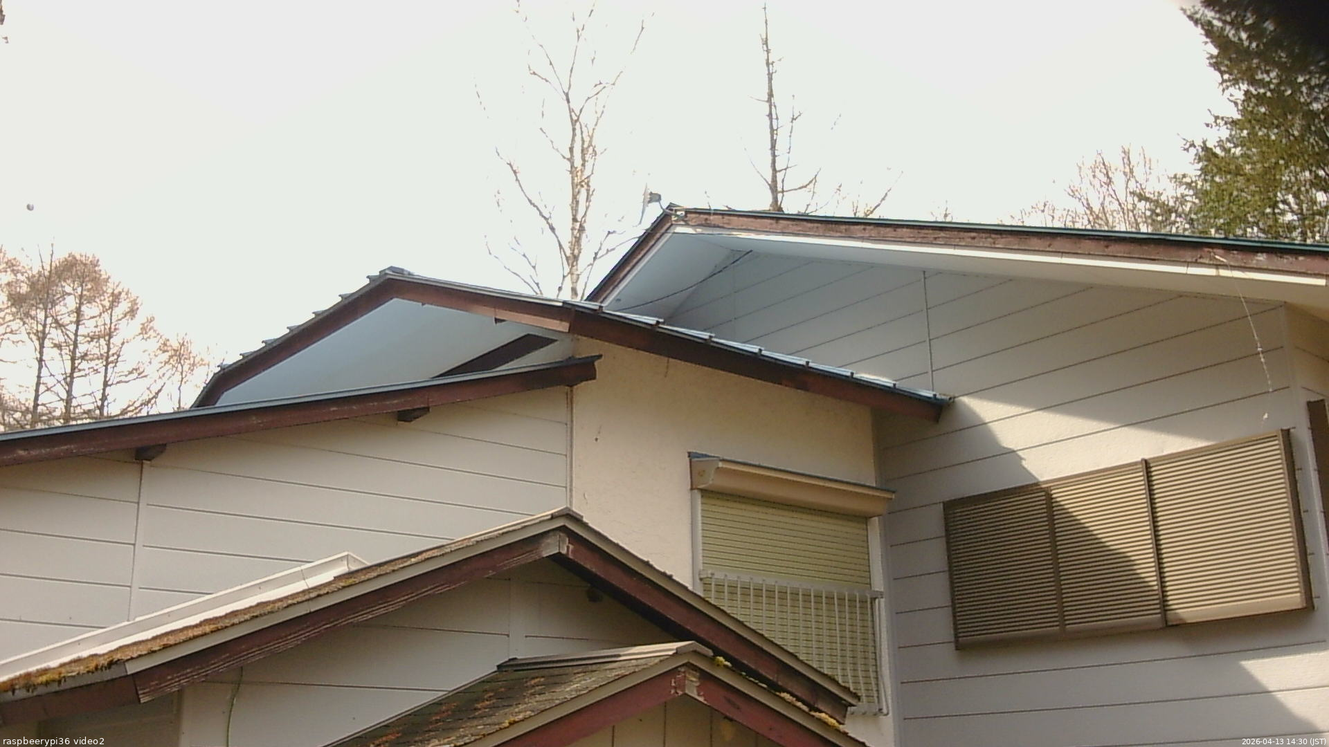 長野県菅平高原 ゆたか山荘 駐車場奥 2026/04/13 14:30