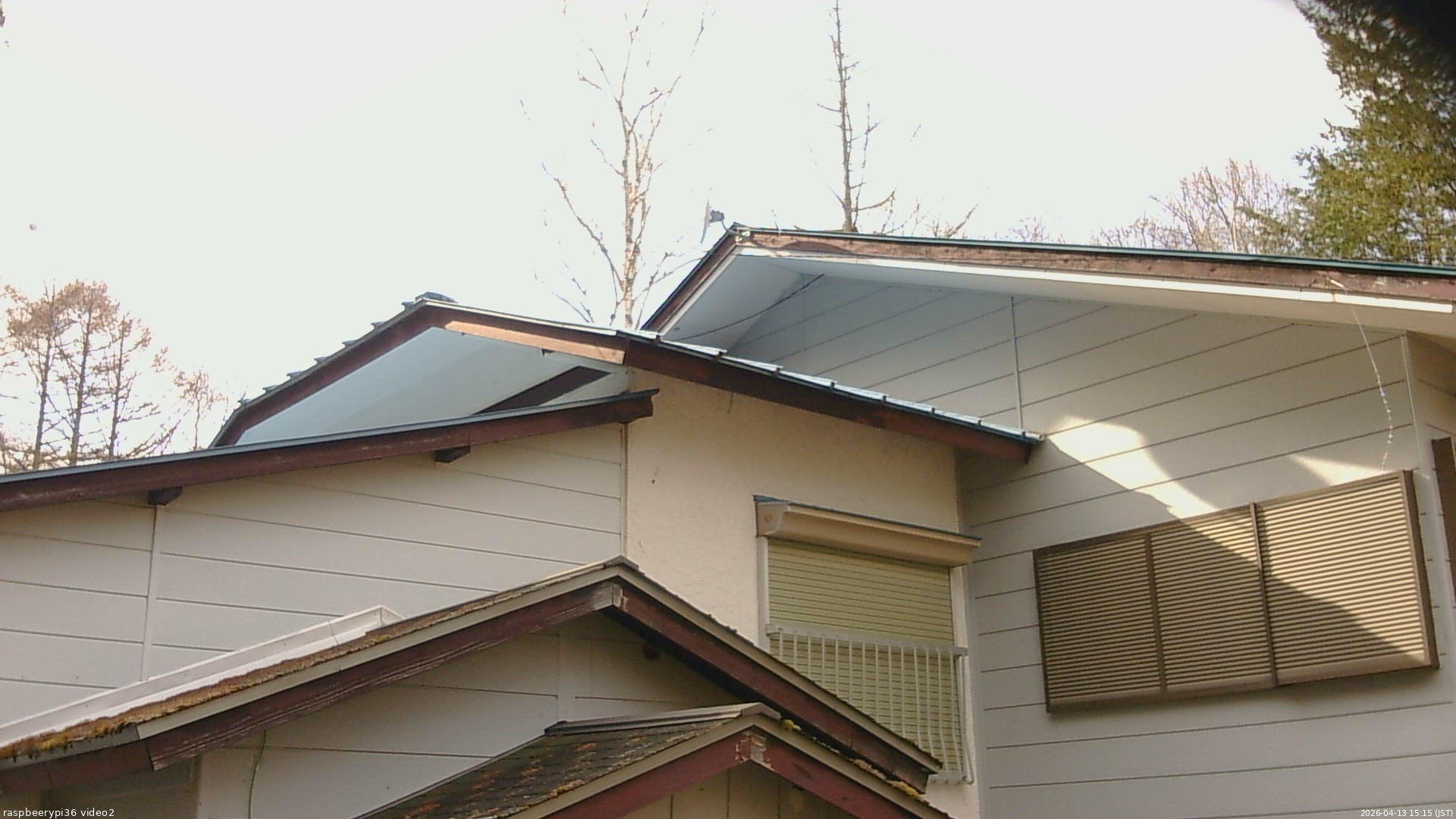 長野県菅平高原 ゆたか山荘 駐車場奥 2026/04/13 15:15