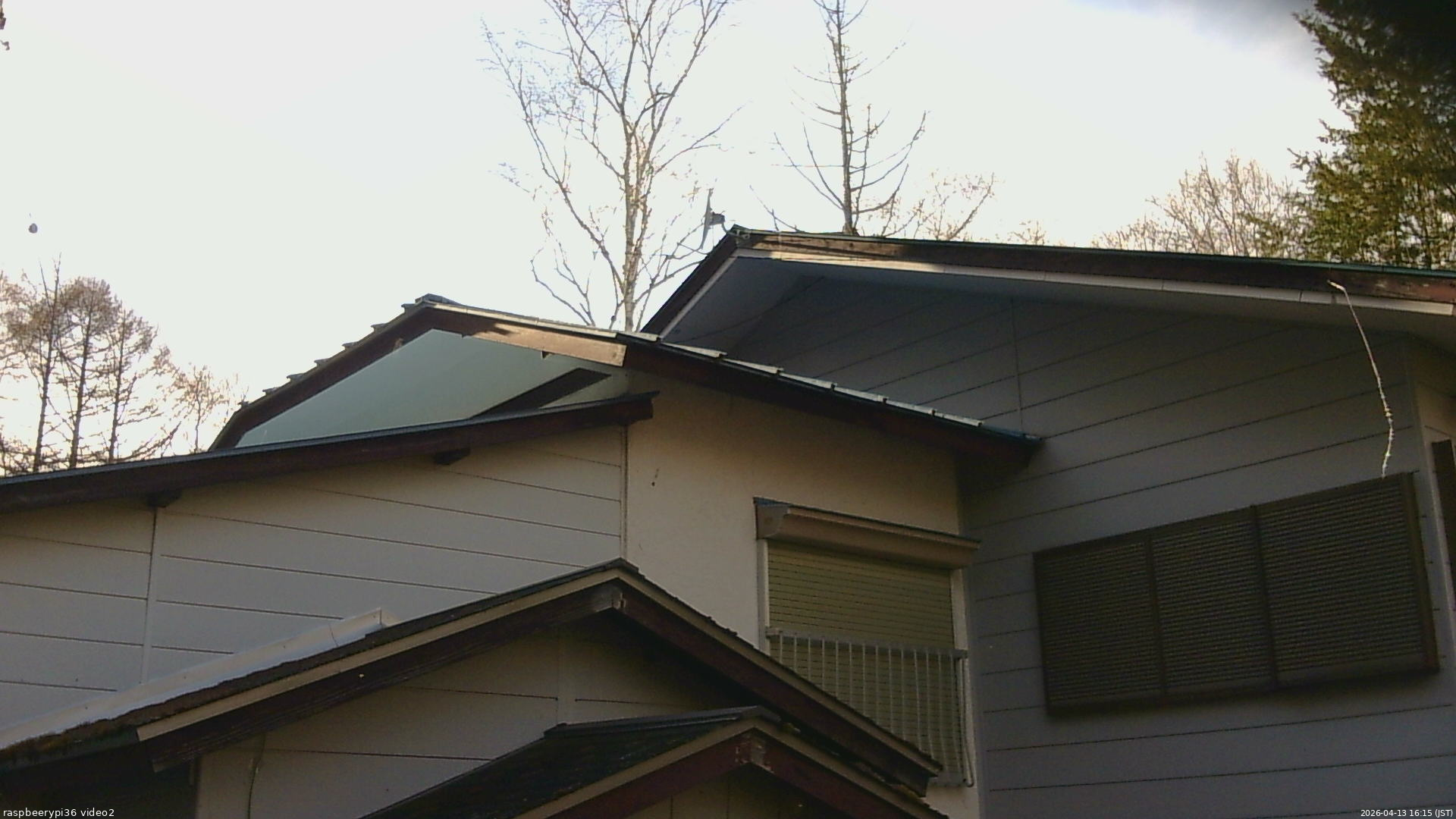 長野県菅平高原 ゆたか山荘 駐車場奥 2026/04/13 16:15