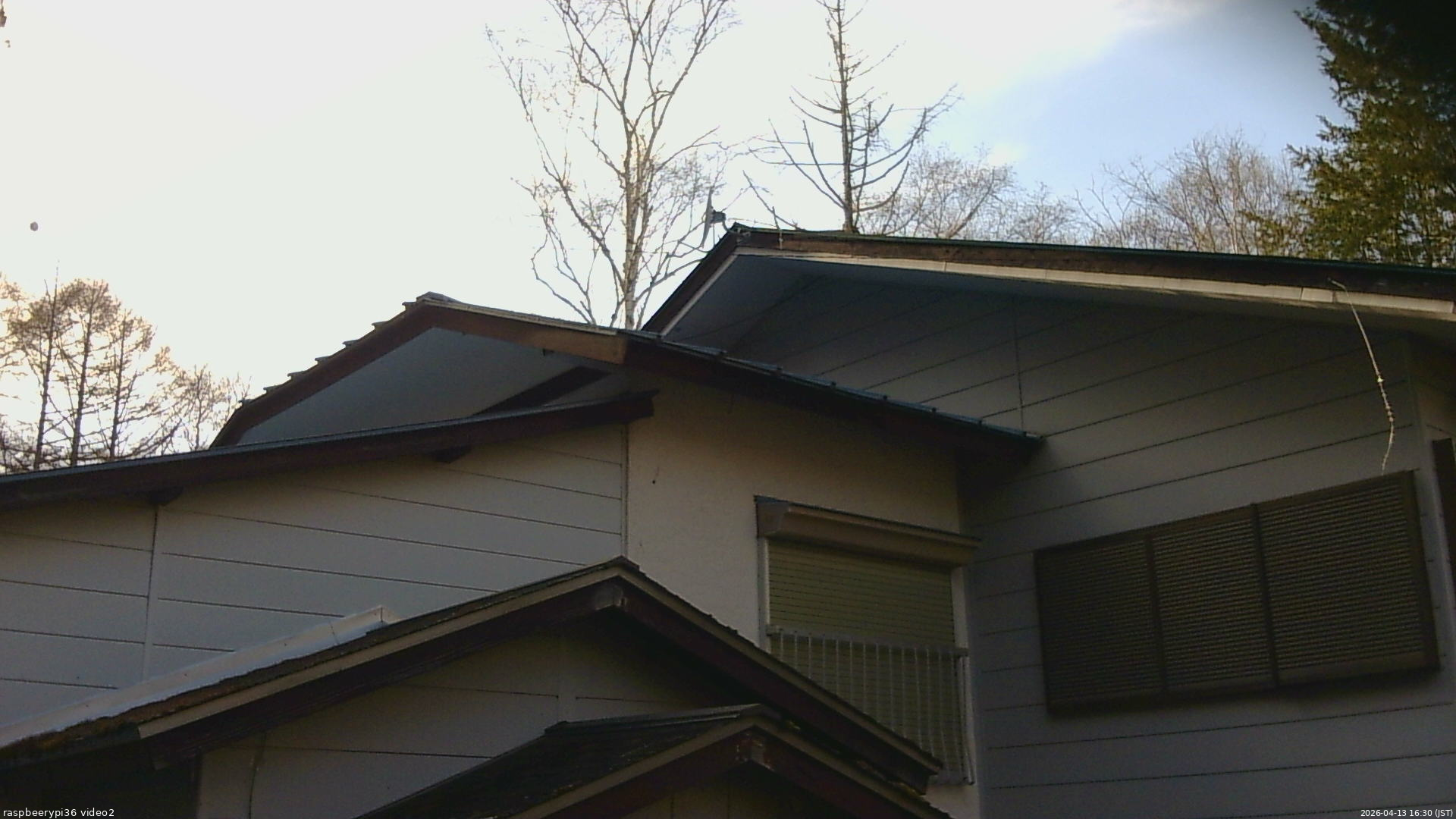 長野県菅平高原 ゆたか山荘 駐車場奥 2026/04/13 16:30