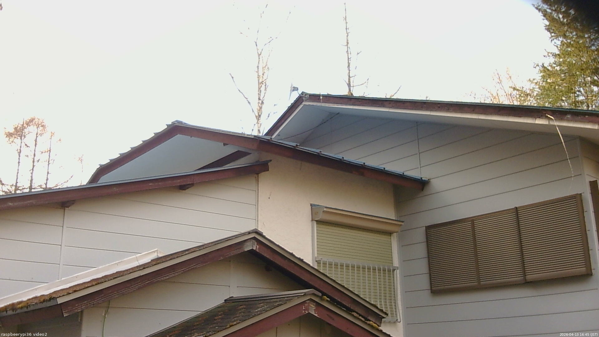 長野県菅平高原 ゆたか山荘 駐車場奥 2026/04/13 16:45