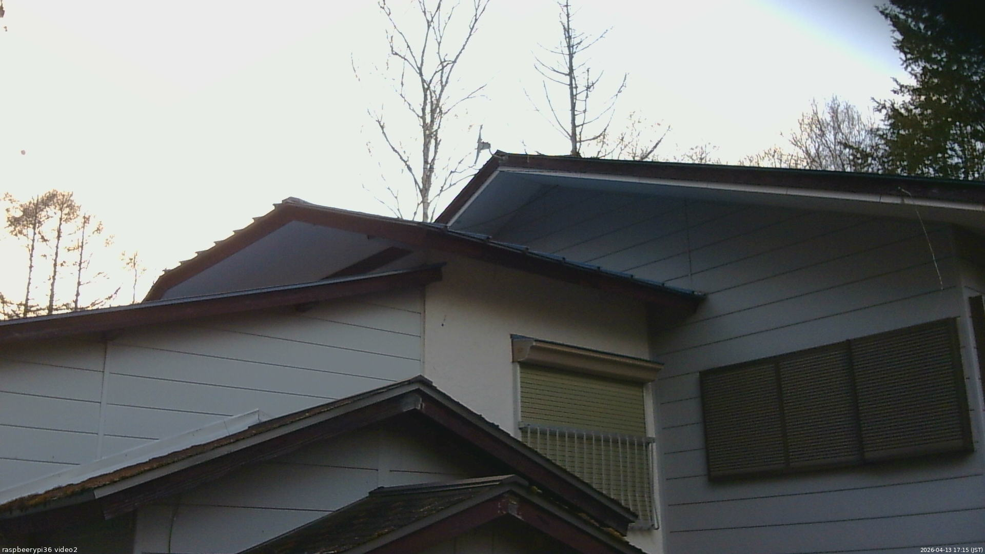 長野県菅平高原 ゆたか山荘 駐車場奥 2026/04/13 17:15