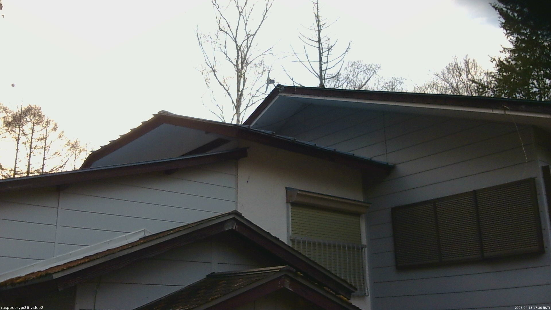 長野県菅平高原 ゆたか山荘 駐車場奥 2026/04/13 17:30