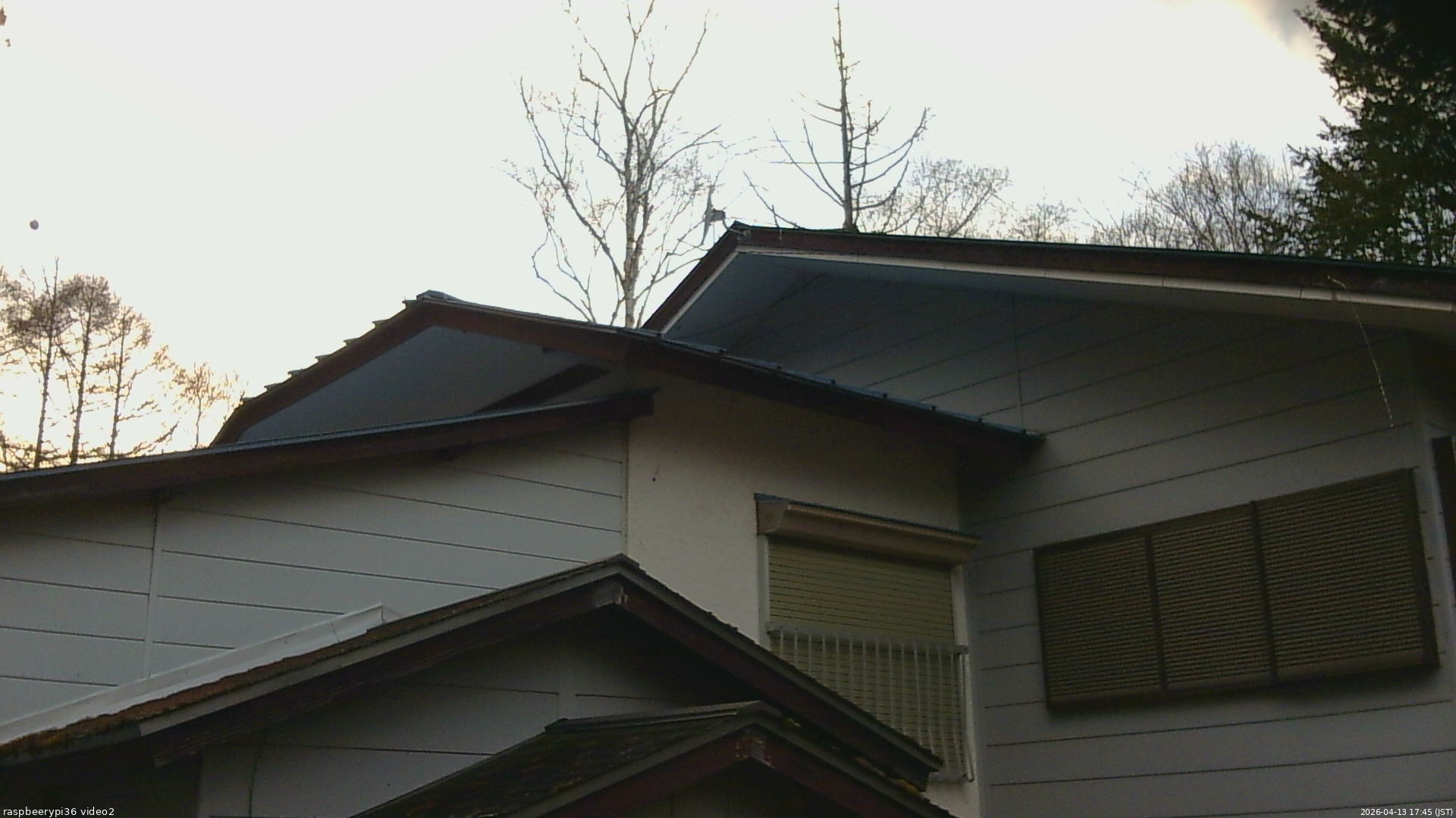 長野県菅平高原 ゆたか山荘 駐車場奥 2026/04/13 17:45