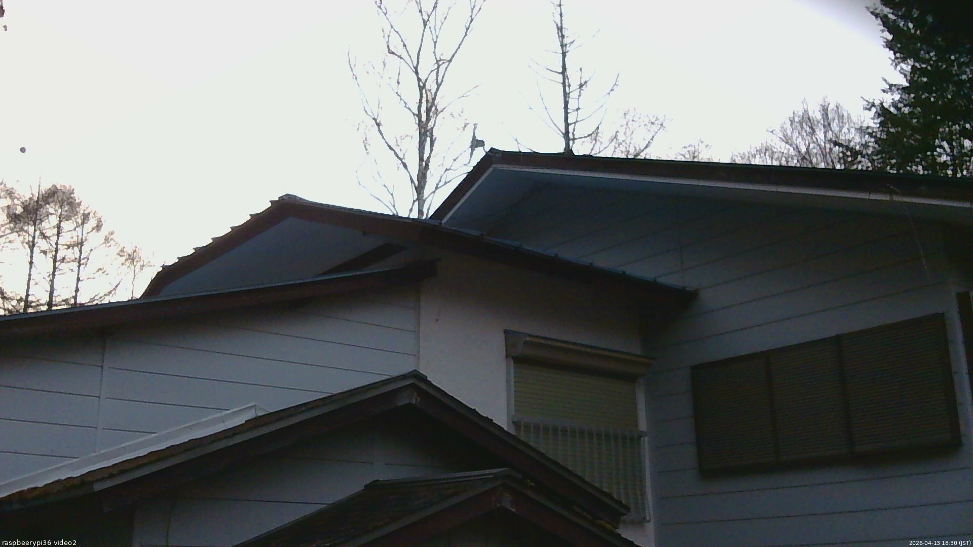 長野県菅平高原 ゆたか山荘 駐車場奥 2026/04/13 18:30