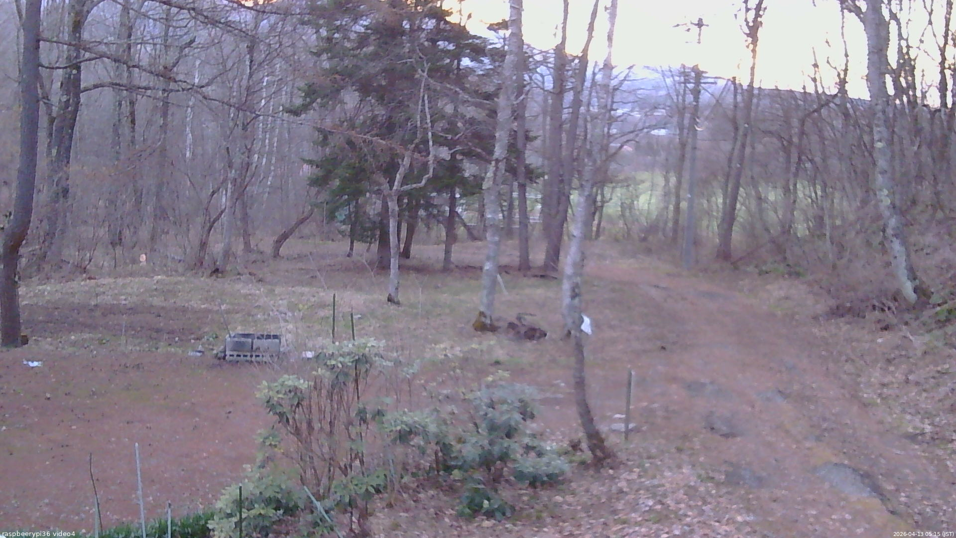 長野県菅平高原 ゆたか山荘 坂上 2026/04/13 05:15