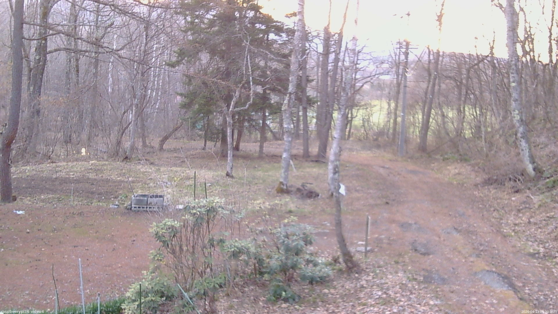 長野県菅平高原 ゆたか山荘 坂上 2026/04/13 05:30