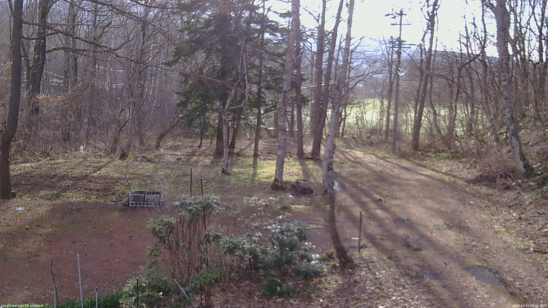 長野県菅平高原 ゆたか山荘 坂上 2026/04/13 06:30