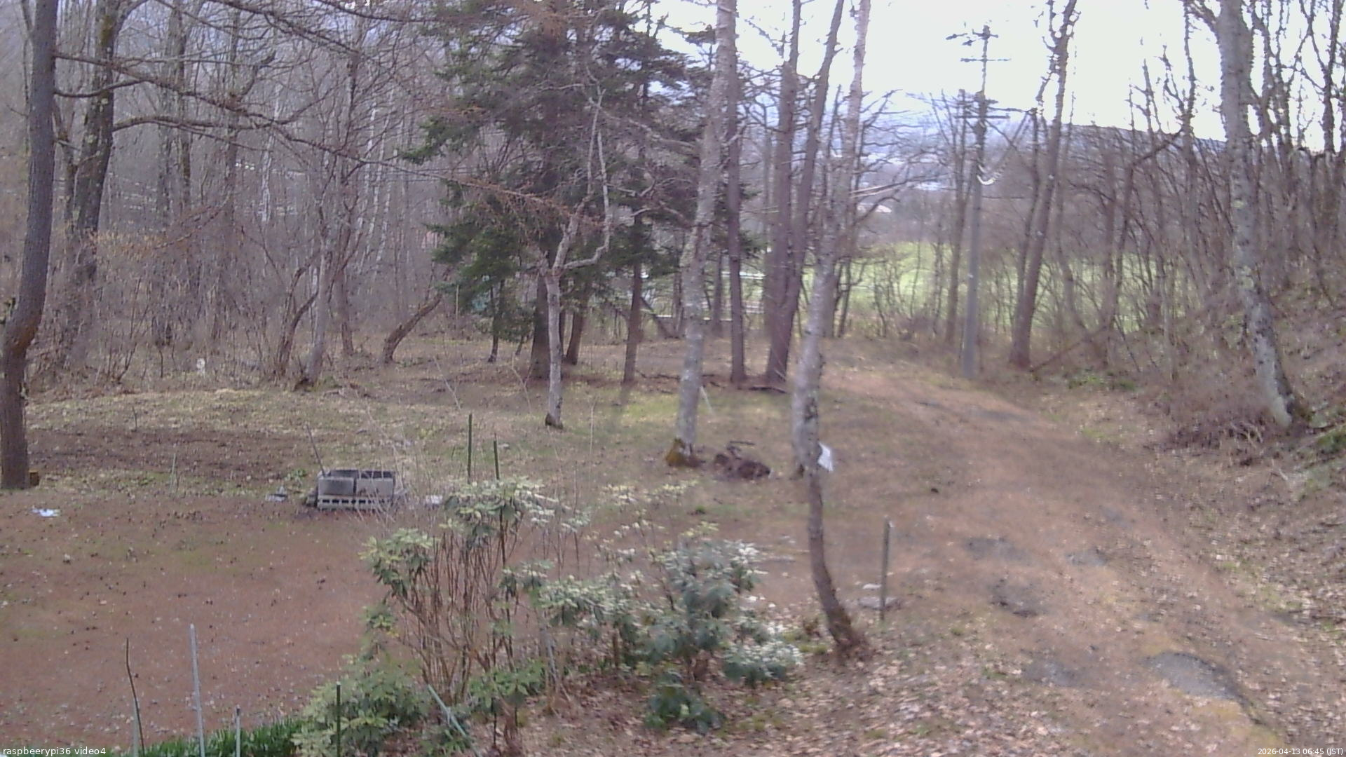 長野県菅平高原 ゆたか山荘 坂上 2026/04/13 06:45