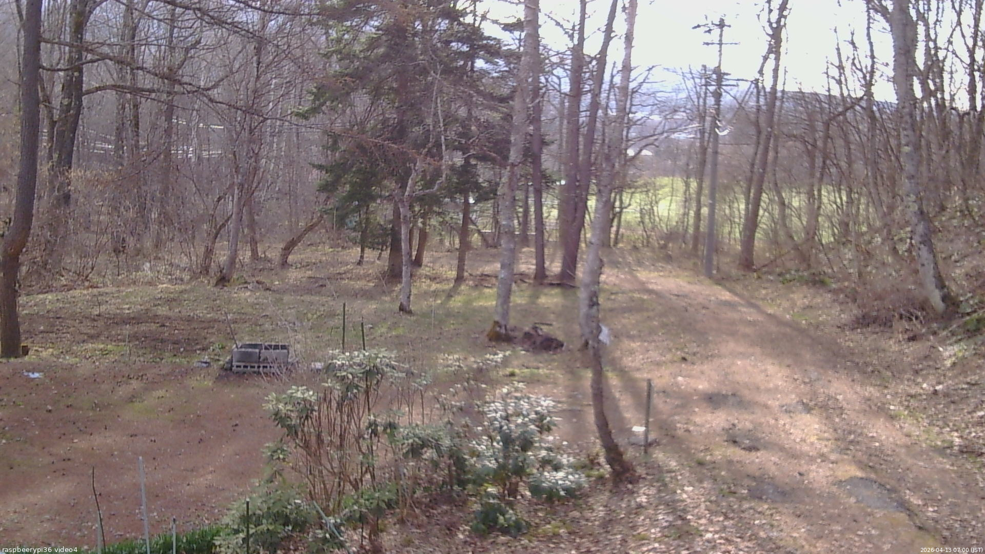 長野県菅平高原 ゆたか山荘 坂上 2026/04/13 07:00