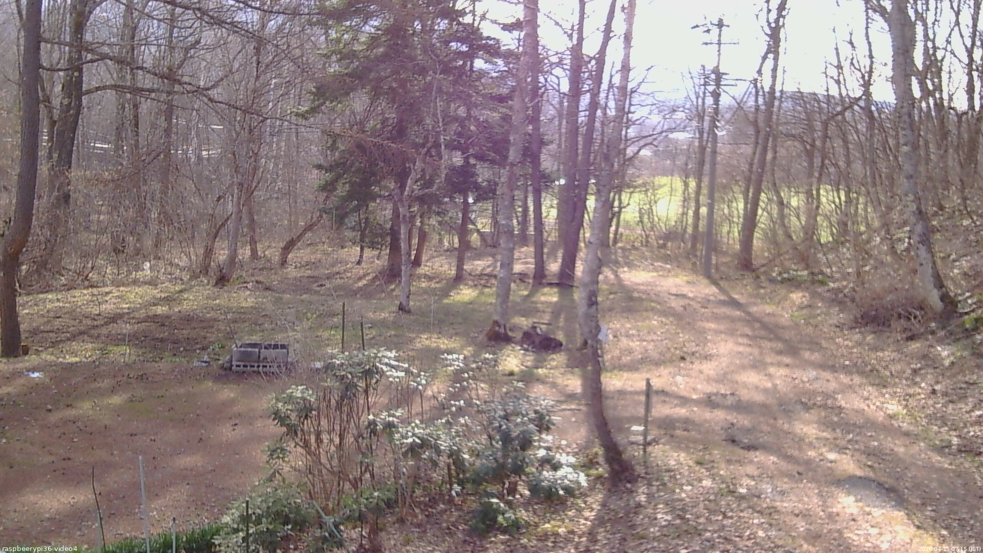 長野県菅平高原 ゆたか山荘 坂上 2026/04/13 07:15