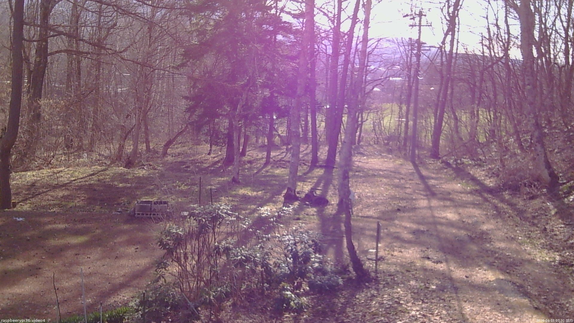 長野県菅平高原 ゆたか山荘 坂上 2026/04/13 07:30