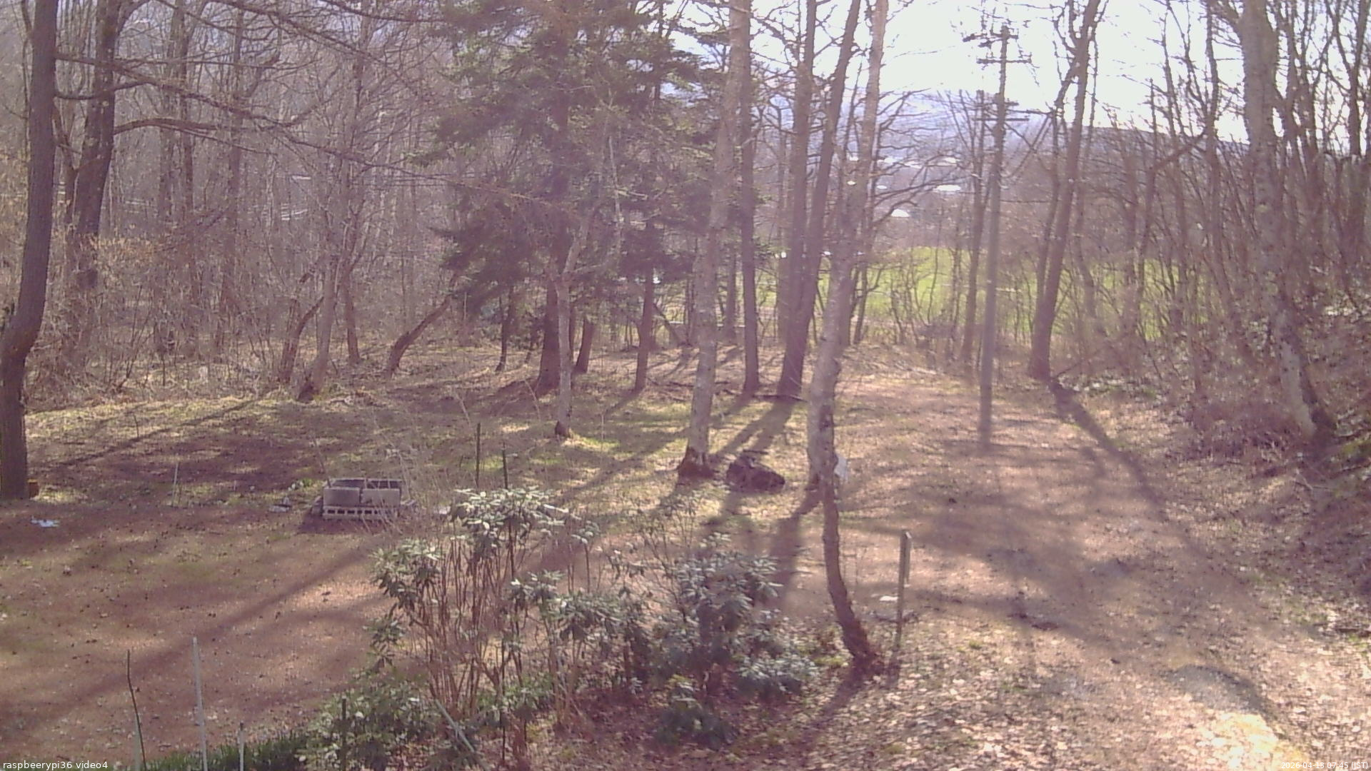 長野県菅平高原 ゆたか山荘 坂上 2026/04/13 07:45