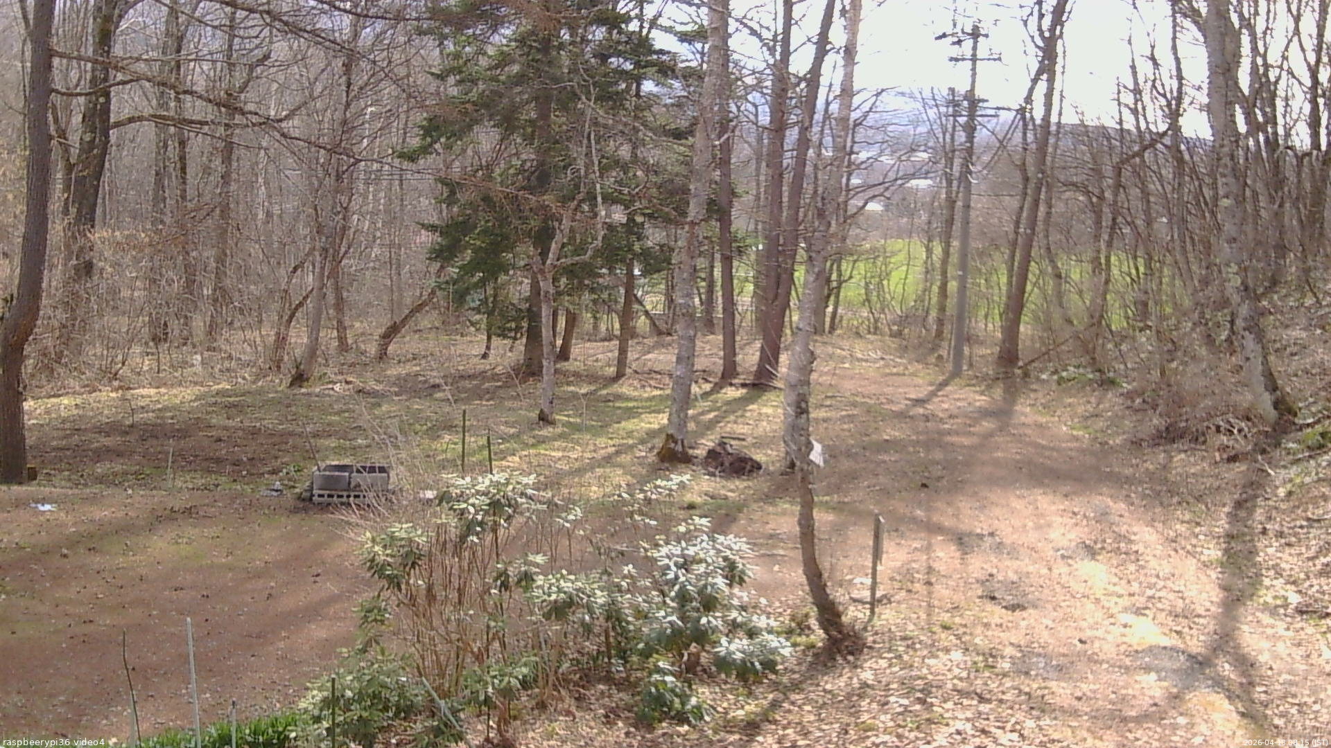 長野県菅平高原 ゆたか山荘 坂上 2026/04/13 08:15