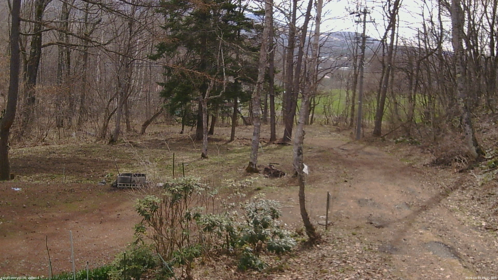 長野県菅平高原 ゆたか山荘 坂上 2026/04/13 08:45