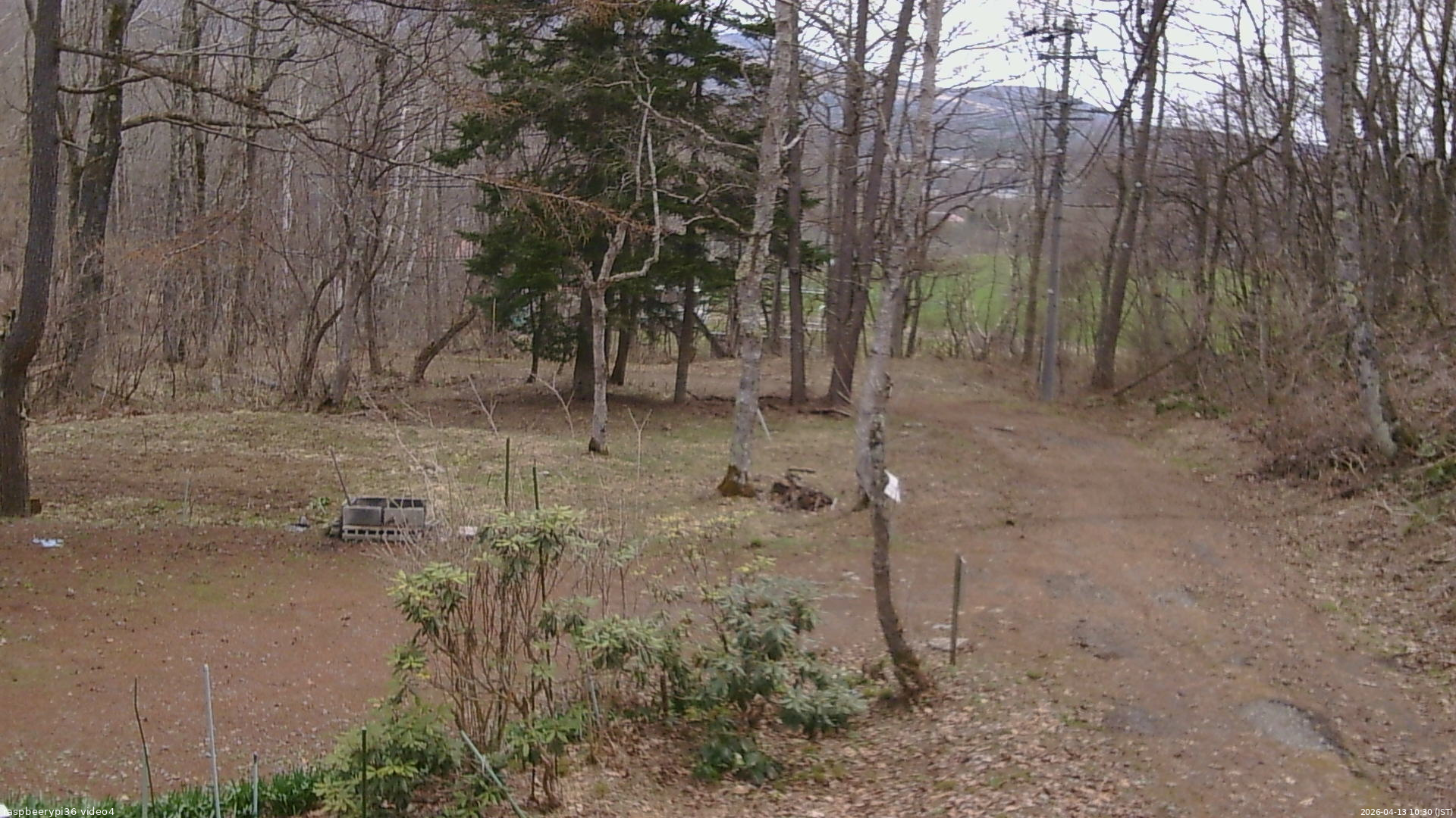 長野県菅平高原 ゆたか山荘 坂上 2026/04/13 10:30