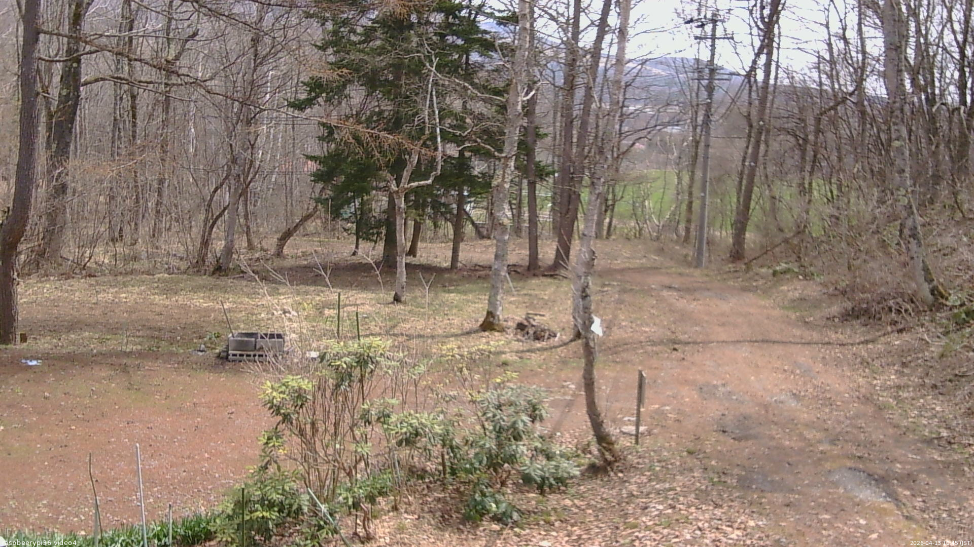 長野県菅平高原 ゆたか山荘 坂上 2026/04/13 10:45