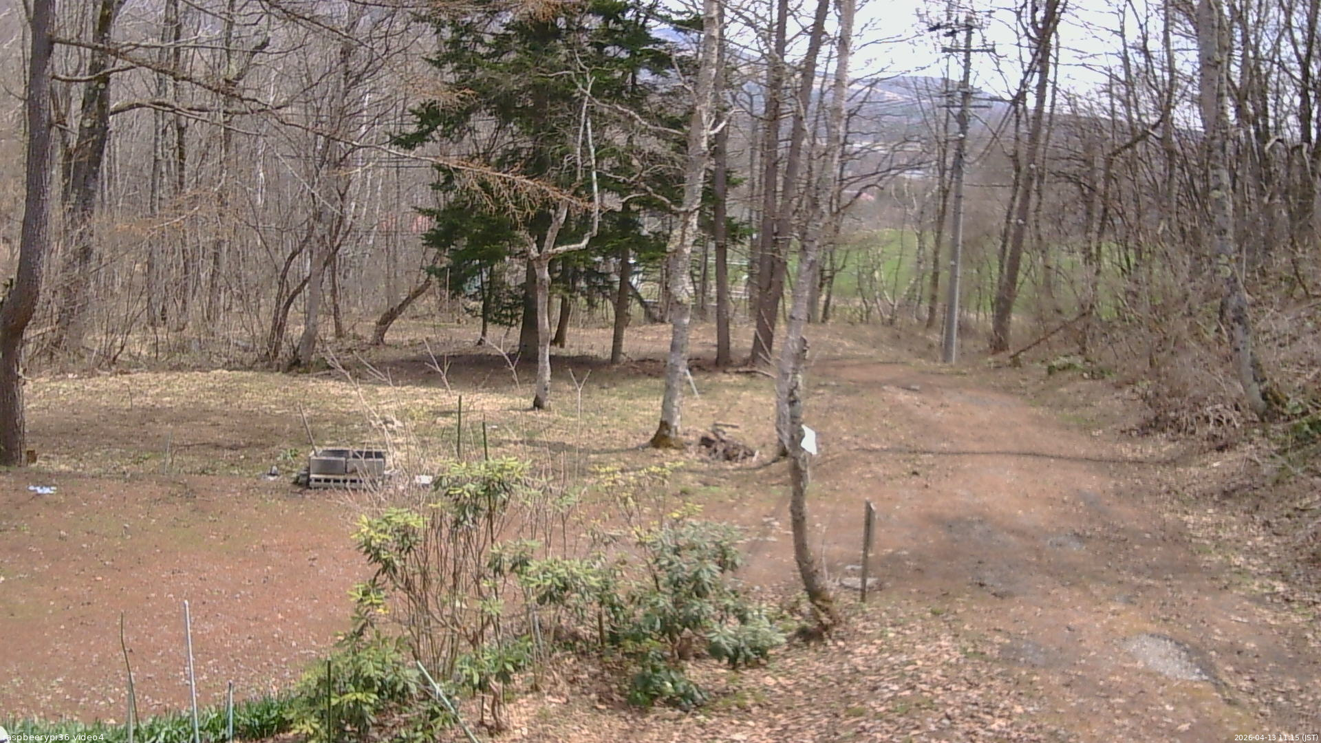 長野県菅平高原 ゆたか山荘 坂上 2026/04/13 11:15