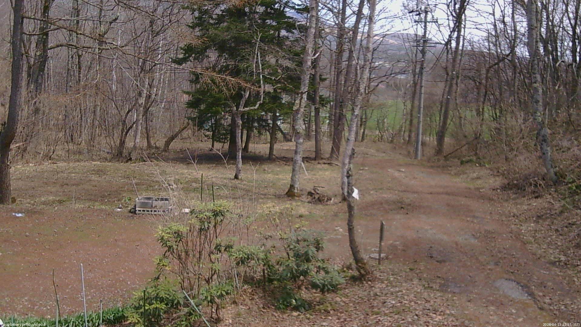 長野県菅平高原 ゆたか山荘 坂上 2026/04/13 12:15