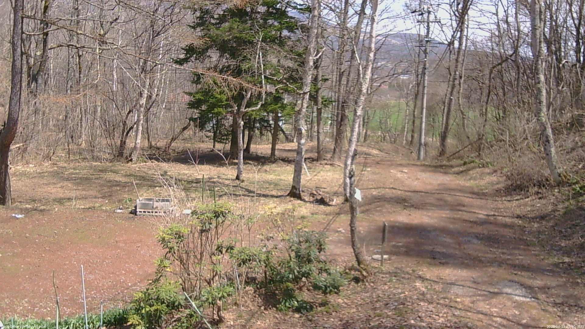 長野県菅平高原 ゆたか山荘 坂上 2026/04/13 12:30
