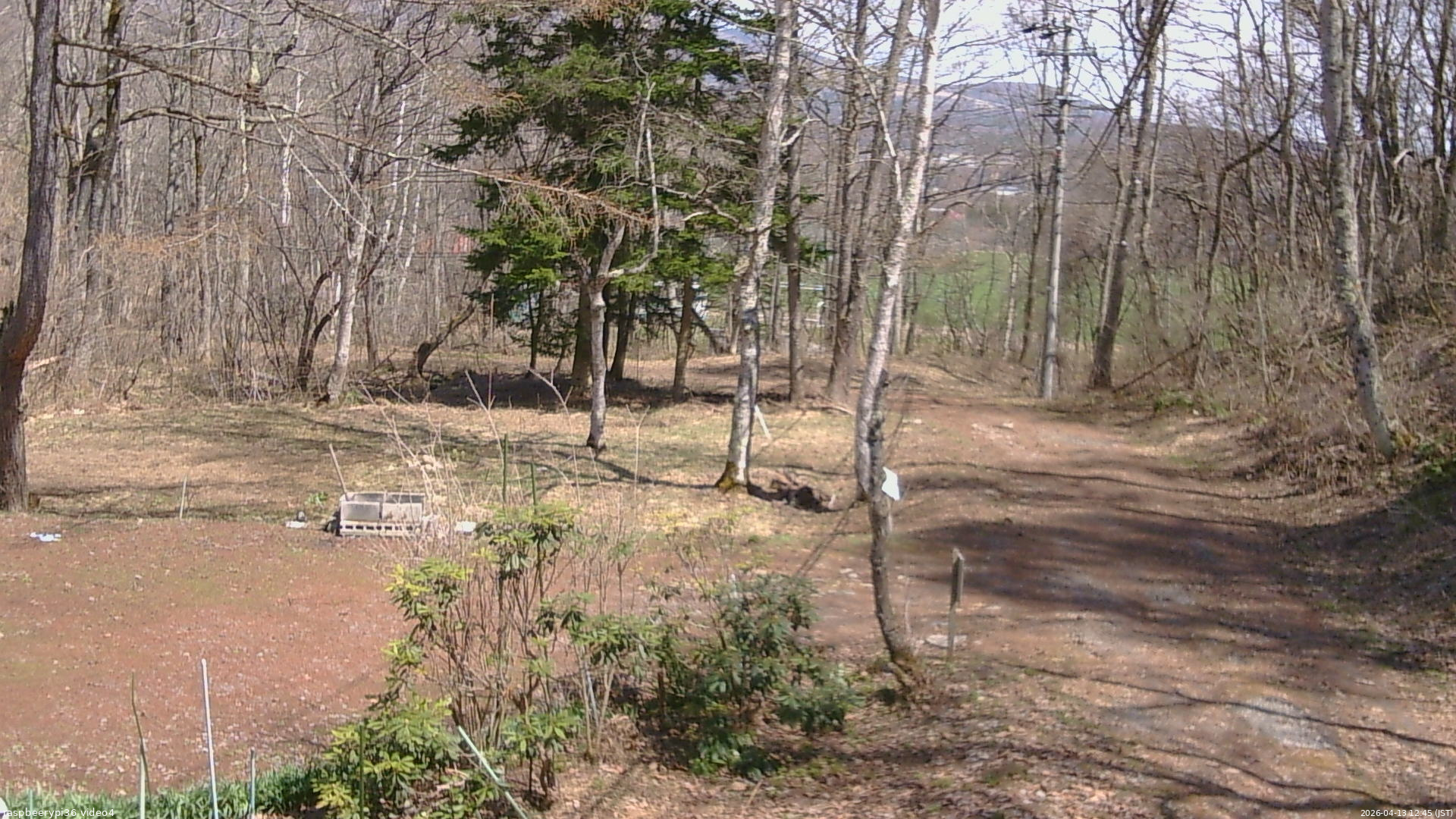 長野県菅平高原 ゆたか山荘 坂上 2026/04/13 12:45
