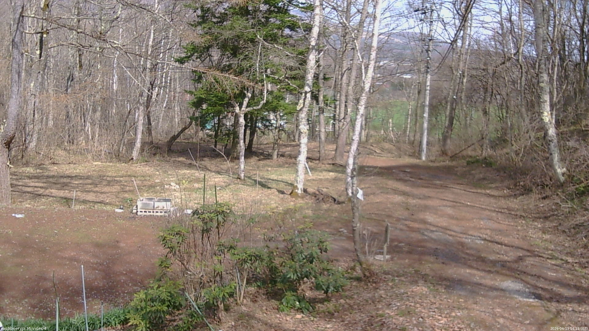 長野県菅平高原 ゆたか山荘 坂上 2026/04/13 14:15
