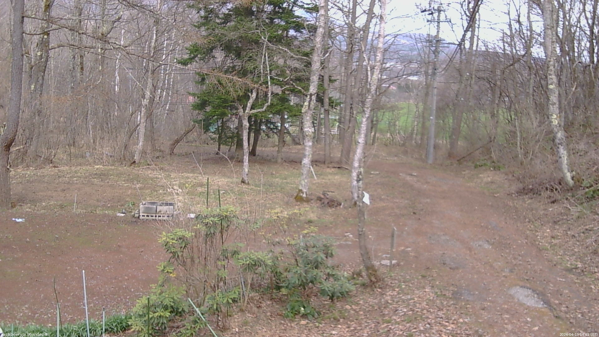 長野県菅平高原 ゆたか山荘 坂上 2026/04/13 14:45